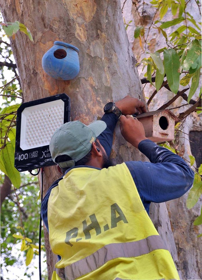 PHA Staffer installing a nest on a tree in Botanical Garden at Miyawaki Forest PHA Staffer installing a nest on a tree in Botanical Garden at Miyawaki Forest