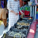 A customer selecting decorative leg ring for sacrificial animals ahead of Eidul Adha