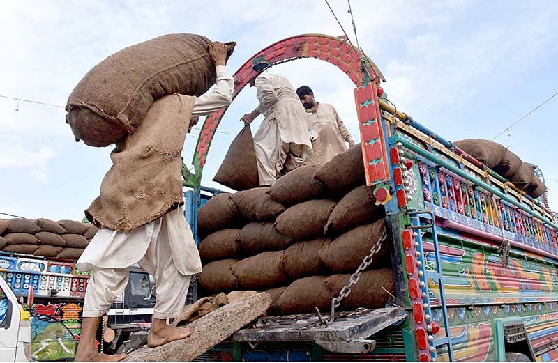 Laborers loading the vegetable sacks on a truck at Vegetable Market