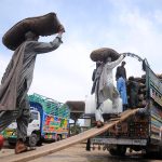 Labourers loading vegetable-filled bags to a delivery truck at Vegetable Market