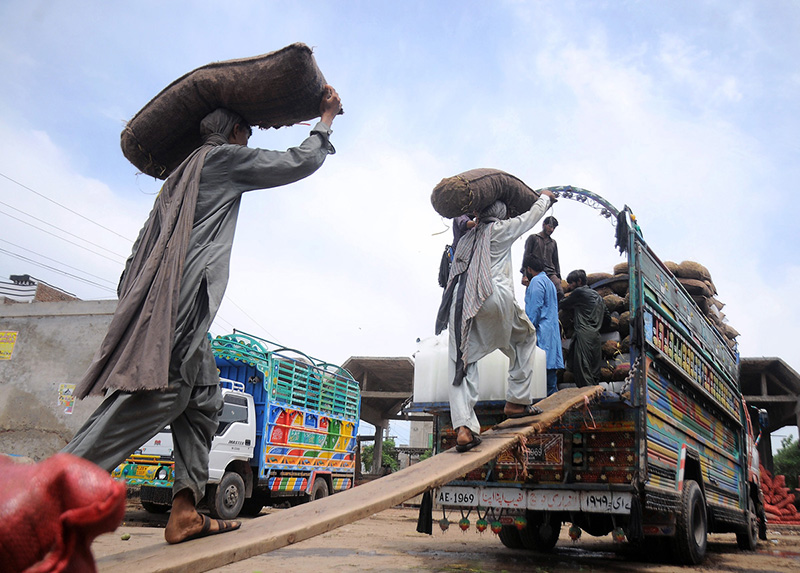 Labourers loading vegetable-filled bags to a delivery truck at Vegetable Market