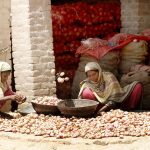 Women are busy sorting good quality onions at the vegetable Market