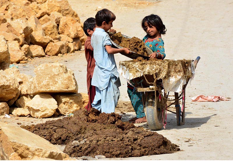 Children busy in loading dung in the handcart for prepare the dung cakes at Latifabad