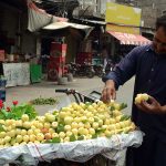 A vendor displaying seasonal fruit (apricot) to attract the customers while shuttling on the road