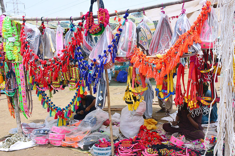 Vendors displaying the sacrificial animals to attract the customers at sacrificial animals market at Hatri bypass area in connection with upcoming Eidul Adha