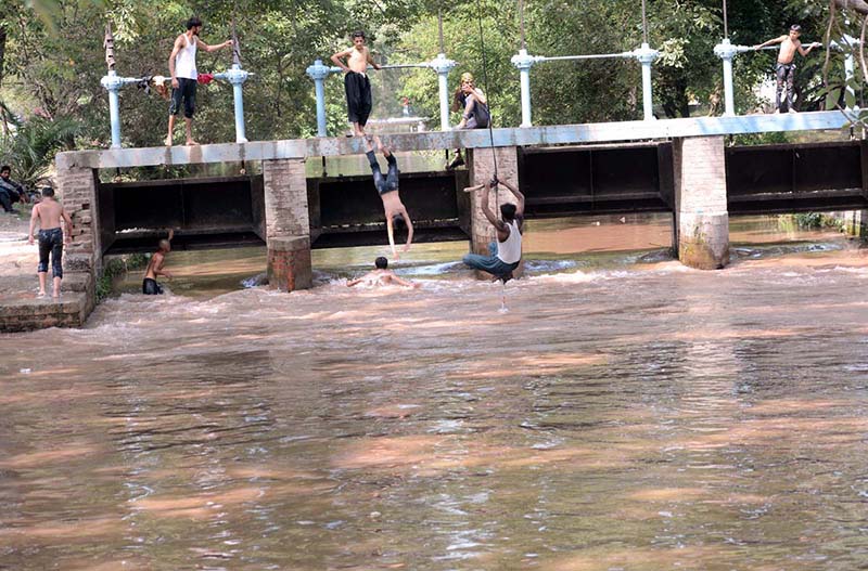 Youngsters jumping in to the canal to beat the heat in Provincial Capital City