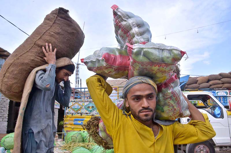 Laborers busy in unloading the seasonal vegetable from delivery truck at Vegetable Market