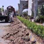 CDA workers busy in sapling plants along 9th Avenue roadside greenbelt in the Federal Capital