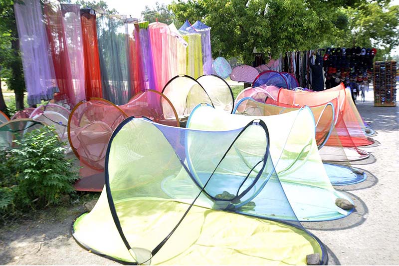 A vendor is busy in arranging and displaying Mosquito Nets to attract customers at his roadside setup