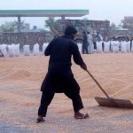 Labourer busy in filling Corn kernel in the bags after drying at his workplace