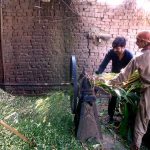 Workers busy in cutting animals fooder at his workplace for upcoming Eid ul-Azha