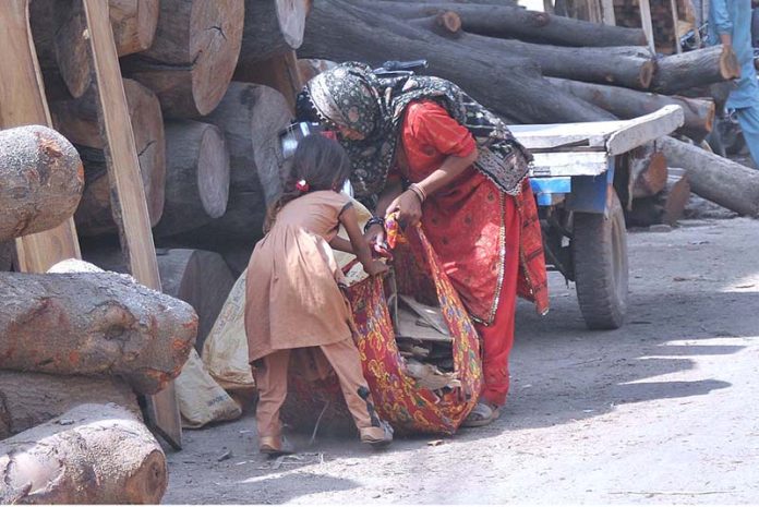 A woman and her child collect firewood from timber market for domestic use