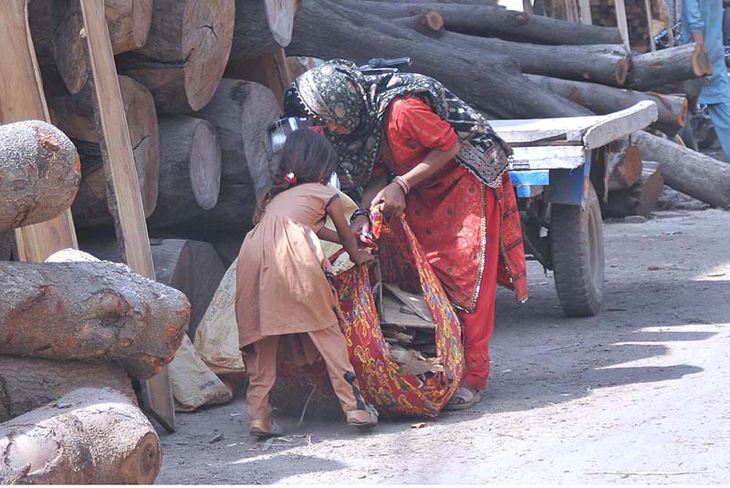A woman and her child collect firewood from timber market for domestic use