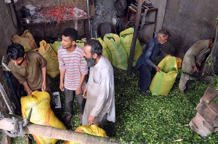 People purchasing fodder for their sacrificial animals