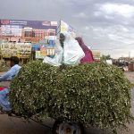 A family traveling on a tricycle rickshaw loaded with fodder for animals during rain at Bahawalpur bypass