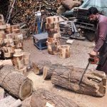 Worker cutting wood log for making wooden bases to be used by butchers to cut meat in pieces on sacrifice day of Eid ul-Azha