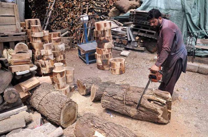 Worker cutting wood log for making wooden bases to be used by butchers to cut meat in pieces on sacrifice day of Eid ul-Azha