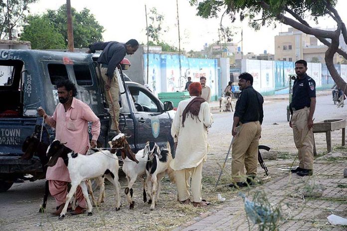 Policemen removing illegal sacrificial animals sellers from footpath in Korangi area