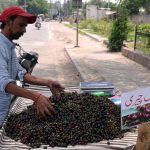 A vendor displays cherries at his handcart to attract the customers at Muhammad Nagar road