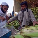 A vendor selling corn cobs at Lahori Gate