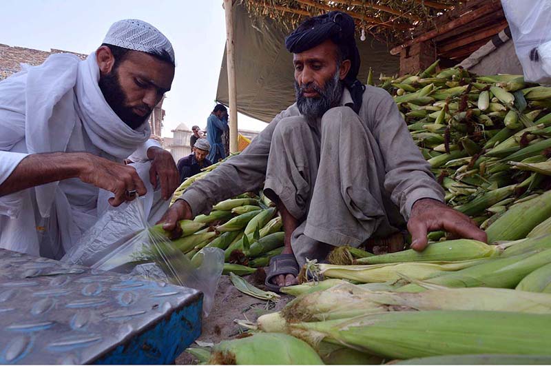 A vendor selling corn cobs at Lahori Gate