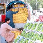 Vendor displaying mangoes to attract customers at Double Road