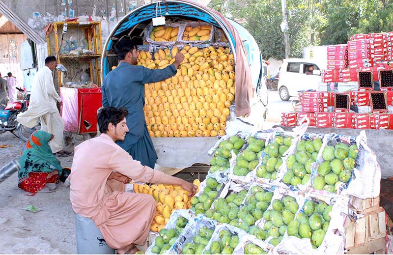 Vendor displaying mangoes to attract customers at Double Road