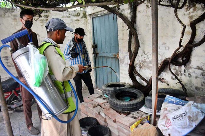 Health workers spraying Anti-Dengue fumes to repel mosquitoes and prevent spreading of dengue fever during dengue control drive at Walton Academy