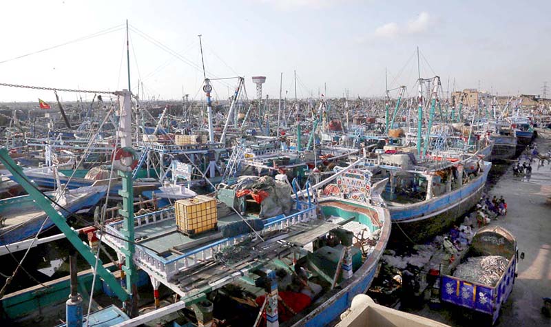 Fishing boats are seen after ban in fishing following the cyclone in Arabian Sea, at fish harbour