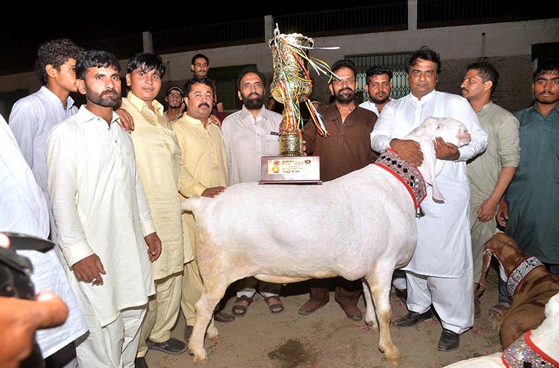 Display of a goat that got first position in heavy weight/beauty competition during “25th International Goat Mela 2023” at University of Agriculture Faisalabad (UAF)