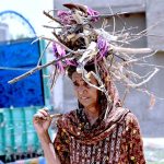 A gypsy woman on their way back after collecting dry tree branches for domestic use