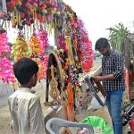 Vendor busy in arranging and displaying decoration accessories for sacrificial animals at cattle market in Provincial Capital