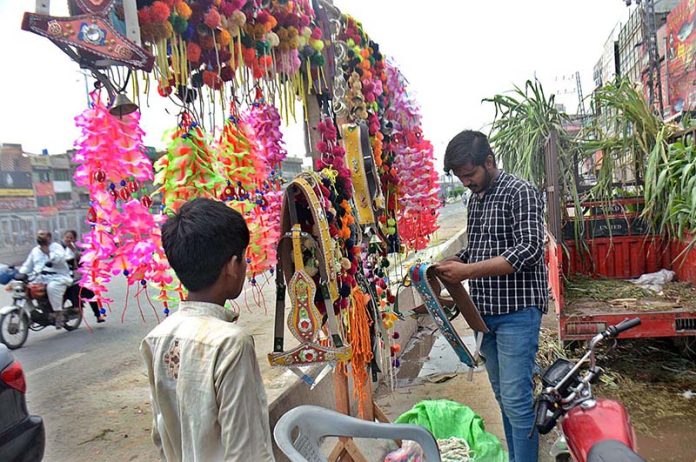 Vendor busy in arranging and displaying decoration accessories for sacrificial animals at cattle market in Provincial Capital