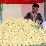 Vendor selling apricots (Khurmani) at Pishin Stop