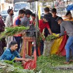 People are buying fodder for their sacrificial animals from roadside setup