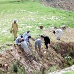 Construction and beautification work along the new bridge near Gulberg in progress on expressway
