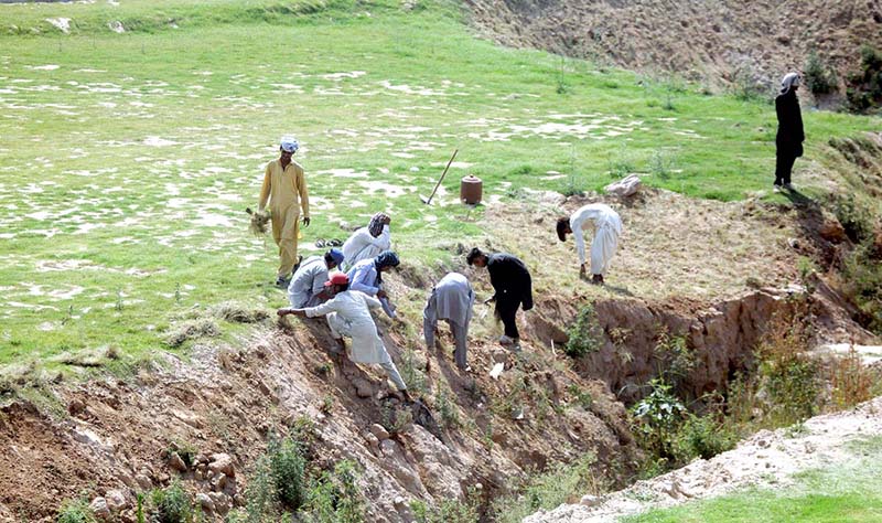 Construction and beautification work along the new bridge near Gulberg in progress on expressway