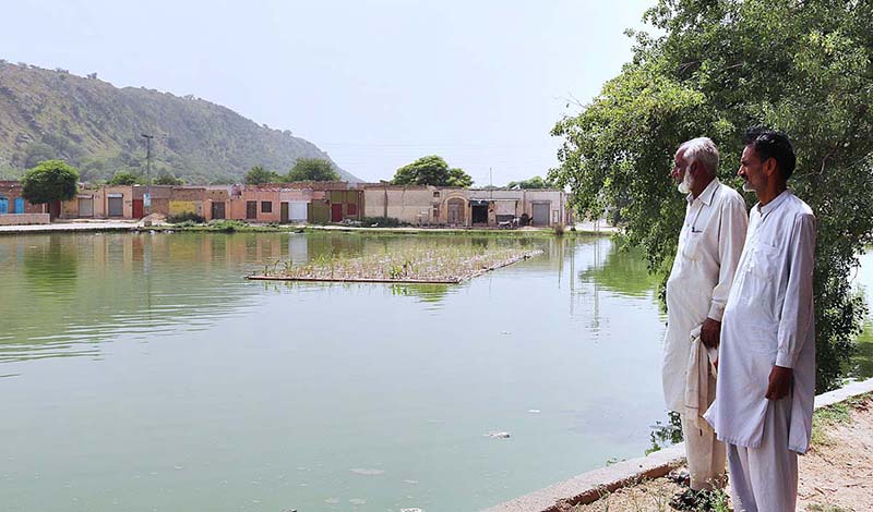 A technology of placing floating raft planted with wetland plants introduced by WWF-Pakistan in Soon Valley of Salt range of Pakistan is proving as a very cost effective nature based solution of converting waste water as useful for drinking of livestock and irrigation purposes. (Match the picture with the story slugged `Ground Water Recharge' already released by APP