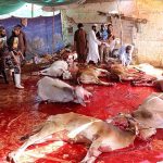 Butchers busy in slaughtering sacrificial animals at Joint Road on the first day of Eidul Azha