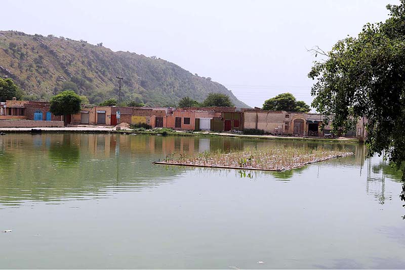 A technology of placing floating raft planted with wetland plants introduced by WWF-Pakistan in Soon Valley of Salt range of Pakistan is proving as a very cost effective nature based solution of converting waste water as useful for drinking of livestock and irrigation purposes. (Match the picture with the story slugged `Ground Water Recharge' already released by APP