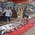 Butchers slaughtering goats in the Burns Road area on the first day of Eid ul-Azha in Provincial Capital