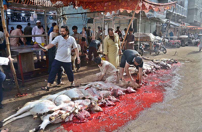 Butchers slaughtering goats in the Burns Road area on the first day of Eid ul-Azha in Provincial Capital