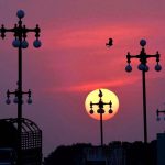 An eye-catching view of sunset in the skies of the city