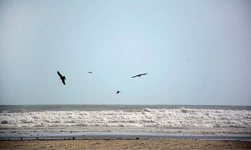 High tides seen at sea view, as a red-alert has already been issued in view of cyclone 'Biparjoy
