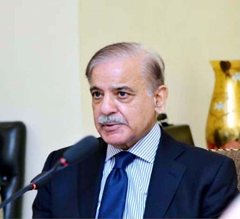 Prime Minister Muhammad Shehbaz Sharif chairs meeting of the National ...