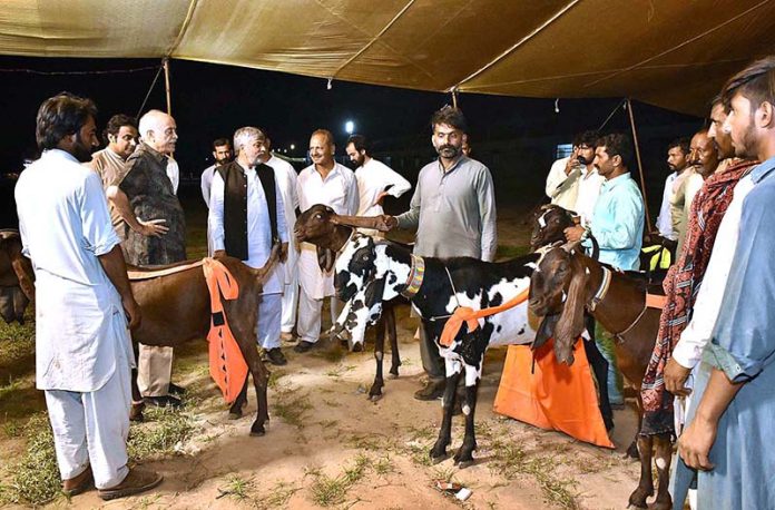 UAF Vice Chancellor Prof. Dr. Iqrar Ahmad Khan visiting after inaugurates goat, bull and camel festival arranged by Faculty of Animal Husbandry (FAH), UAF and the International Goat and Bull Association at UAF Stadium