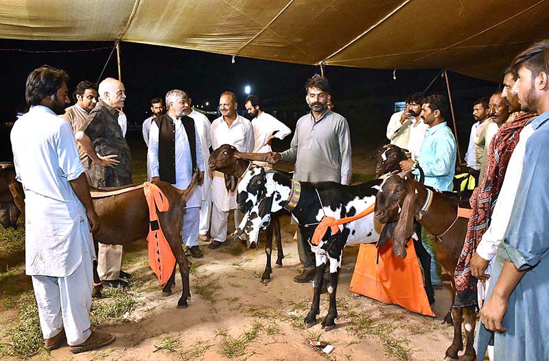 UAF Vice Chancellor Prof. Dr. Iqrar Ahmad Khan visiting after inaugurates goat, bull and camel festival arranged by Faculty of Animal Husbandry (FAH), UAF and the International Goat and Bull Association at UAF Stadium