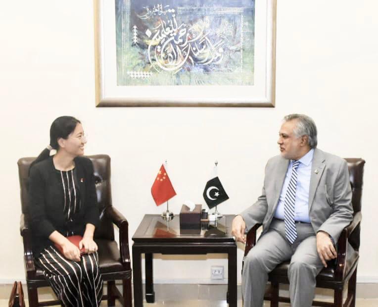 Acting Chinese envoy calls on Ishaq Dar