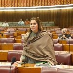 Shazia urges public to strictly follow PMD instructions on upcoming cyclonic storm