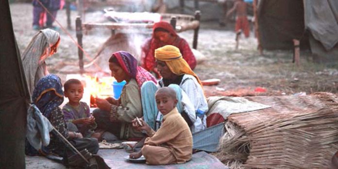 Govt intensifies efforts to address malnutrition challenges: Survey